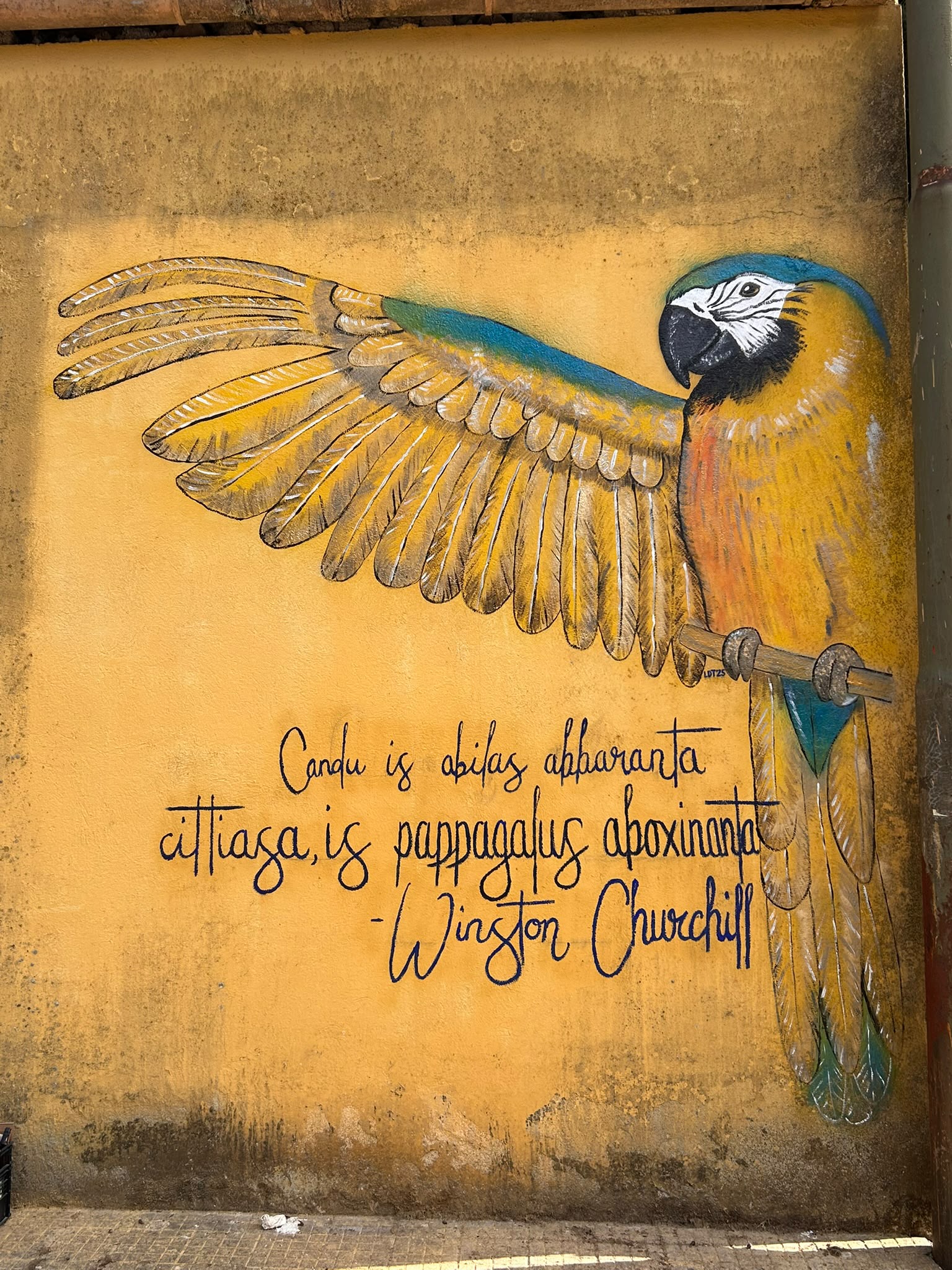 Murales 04 by Laila Dalla Torre