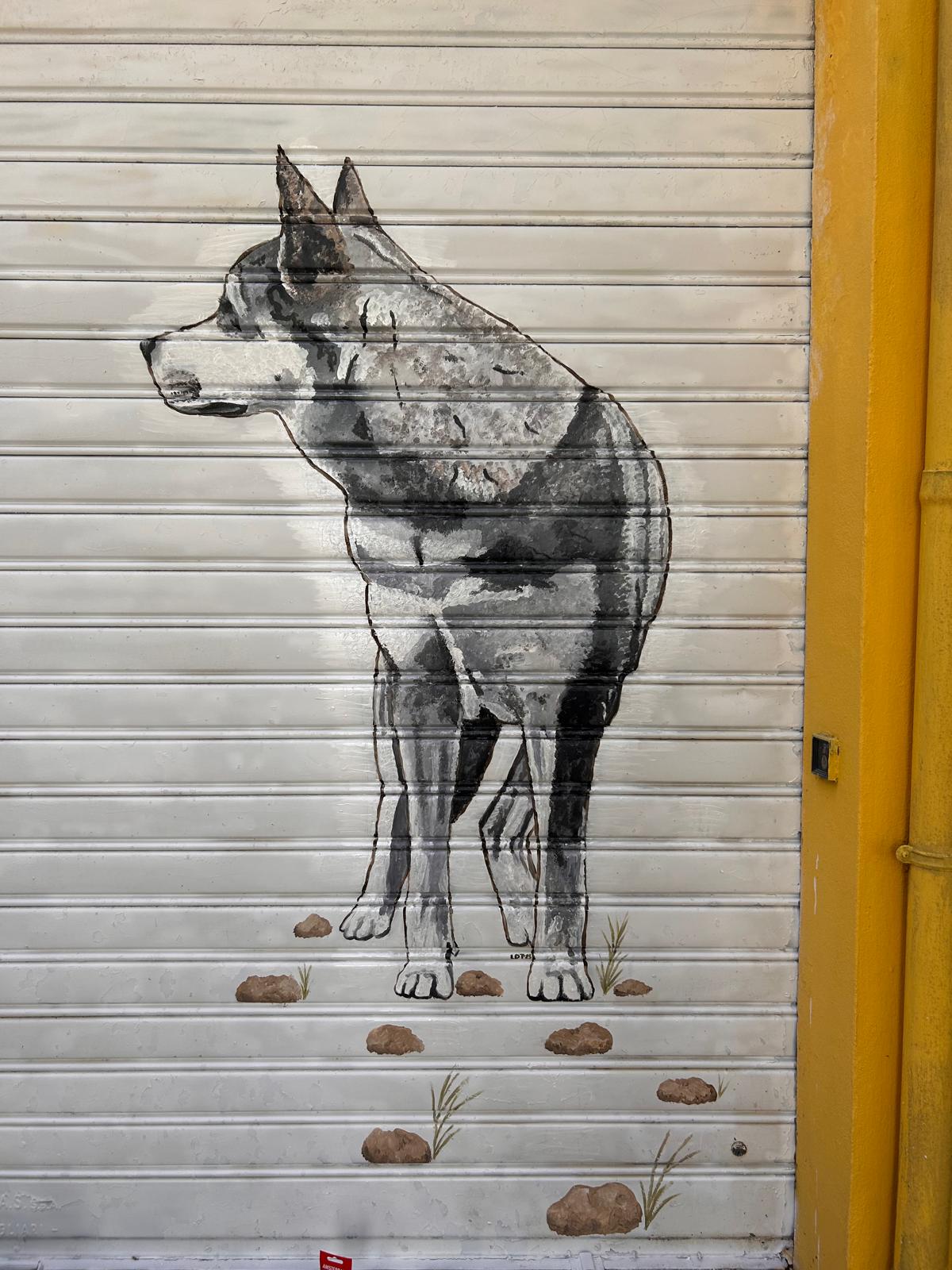 Murales 11 by Laila Dalla Torre