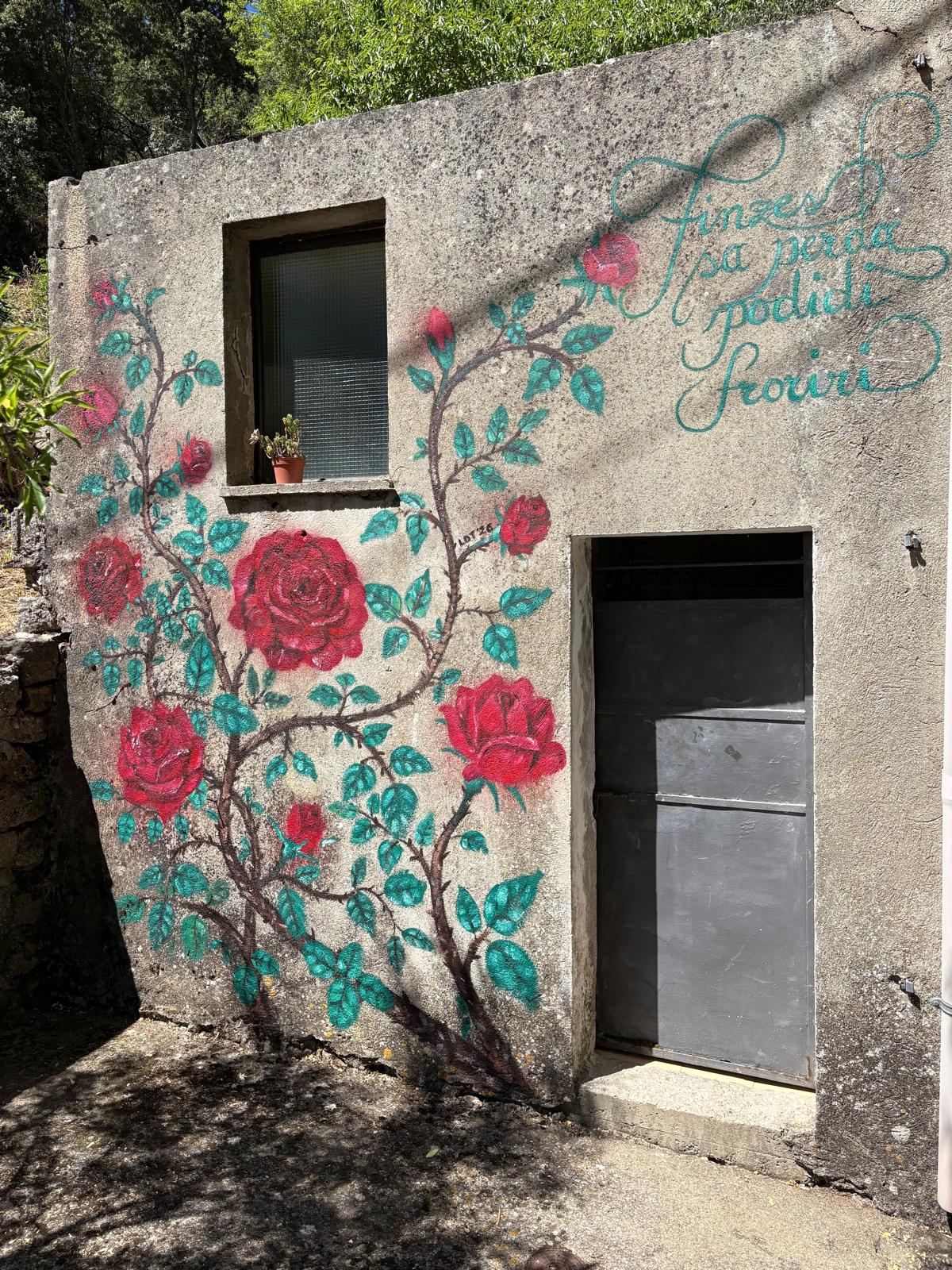 Murales 13 by Laila Dalla Torre